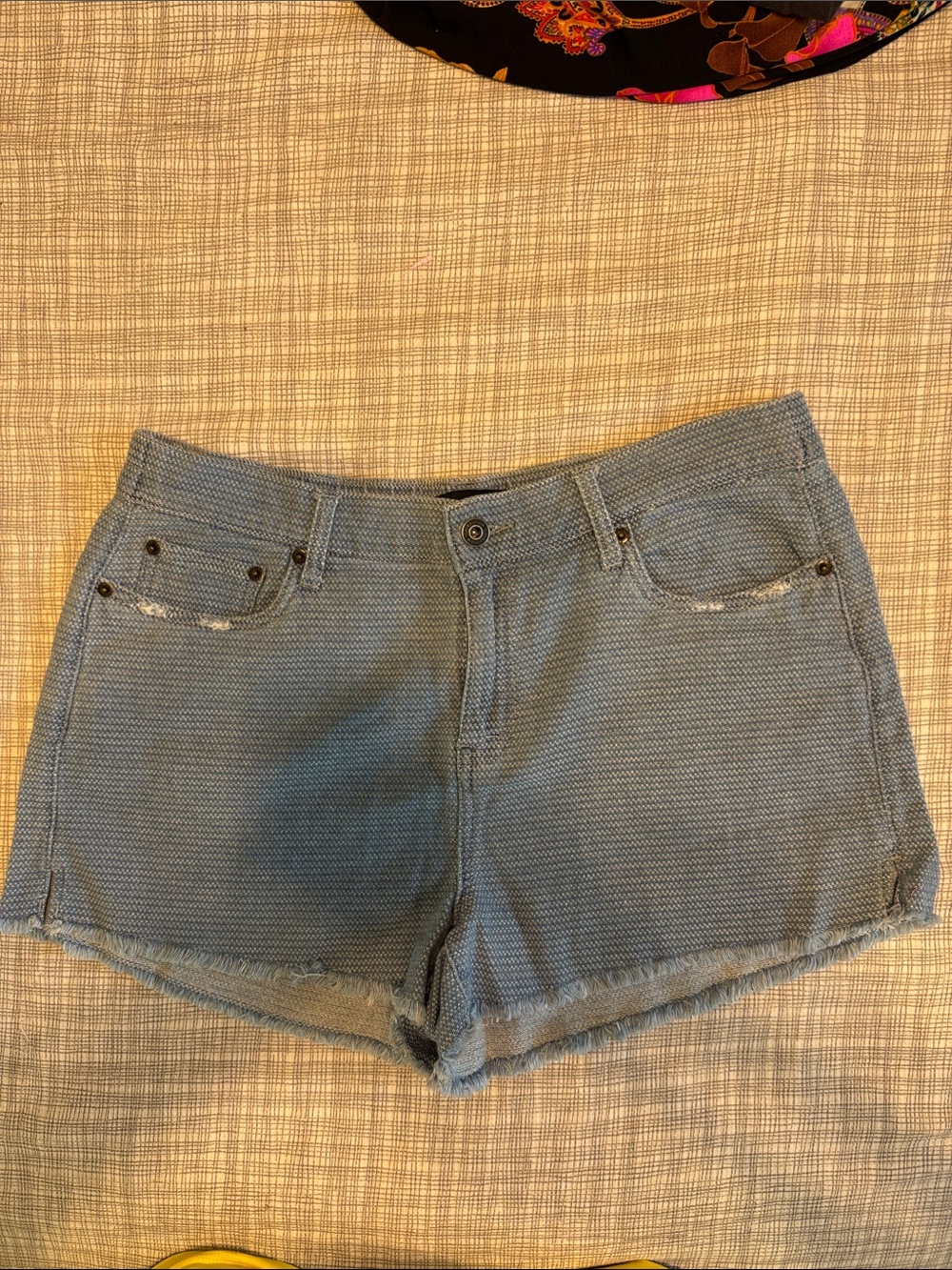 Casual Light Blue Jean Shorts with Frayed Hem